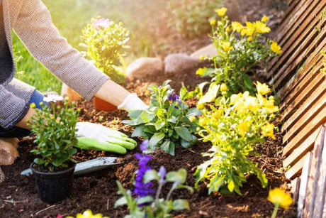 Tips on Preparing Your Garden for Spring