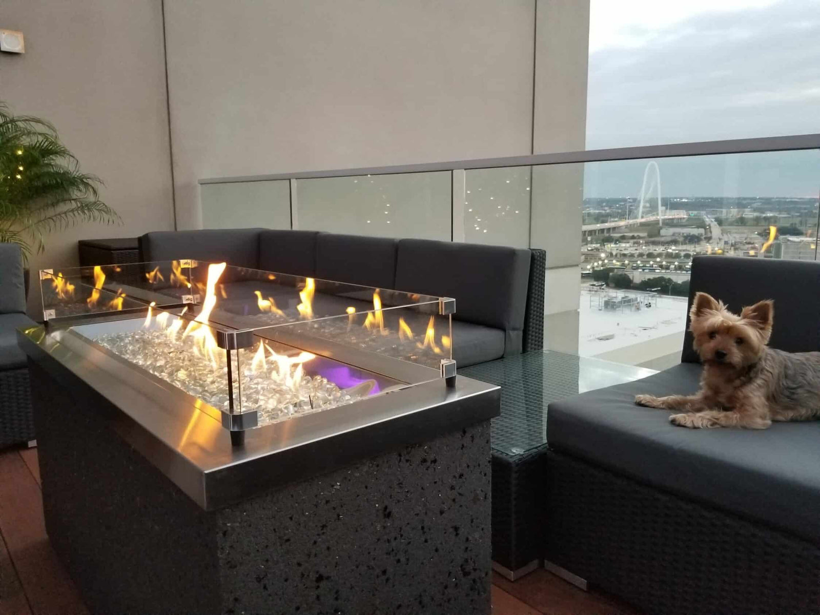 Are Gas Fire Pits Safe for Pets?