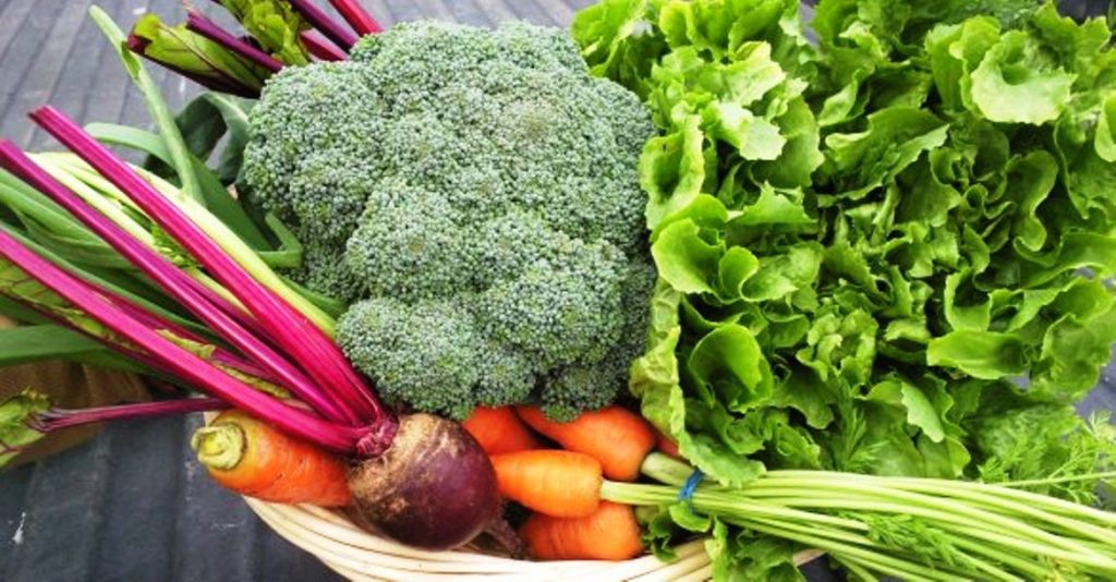 Planning ahead for fall gardening